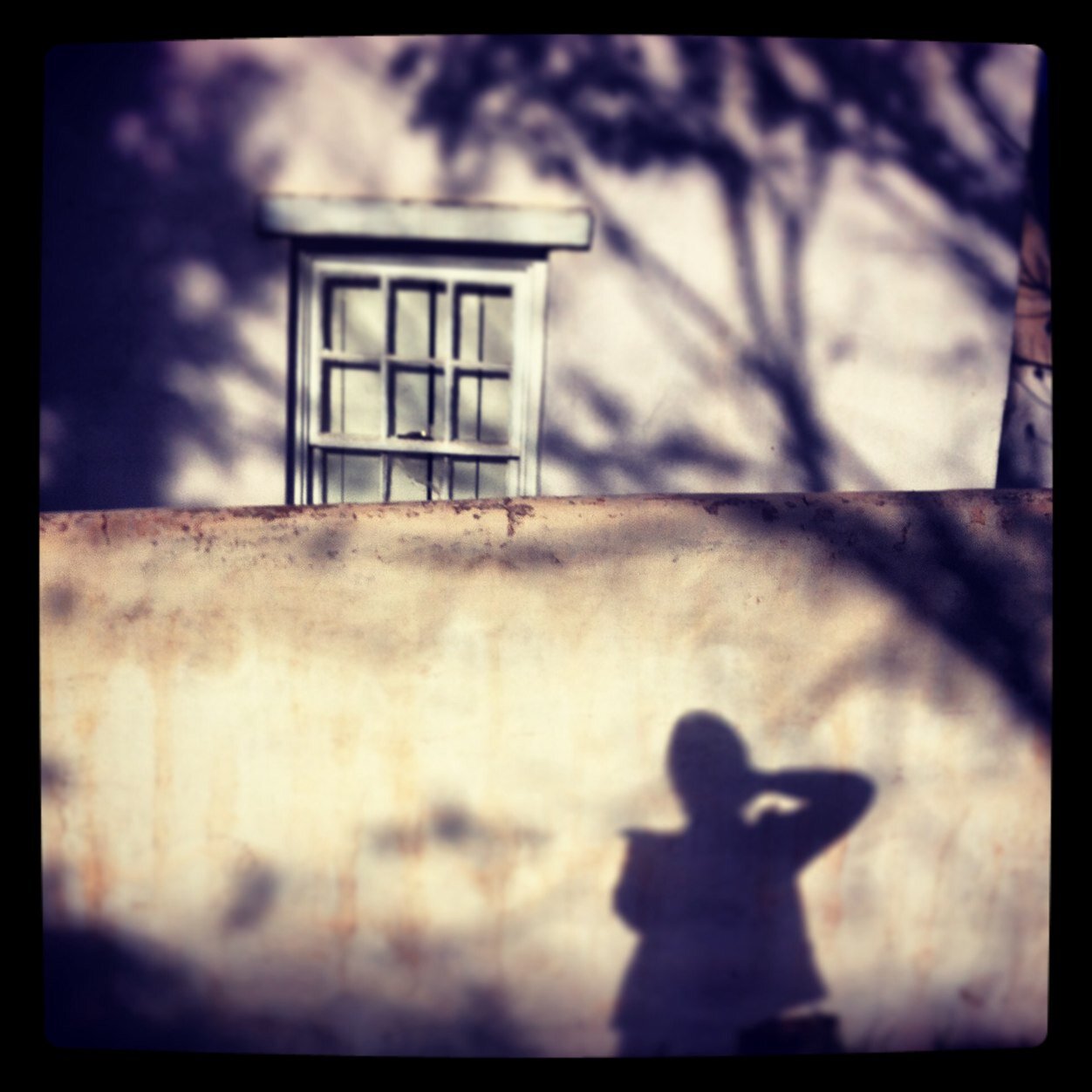 HannerideWet's profile picture. 'Back-light' fanatic, eyes always seeking...sometimes trough a lens. Looking for God, beauty, Love, Rest, Truth, Faith, and all that is Good. Photographer @Leef