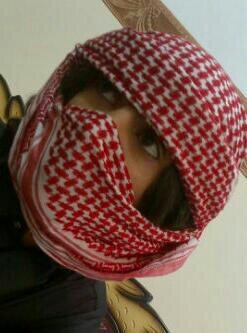 fisl1237's profile picture. 