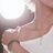 tomokichi_8706