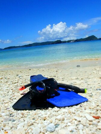 stakuya07081's profile picture. 