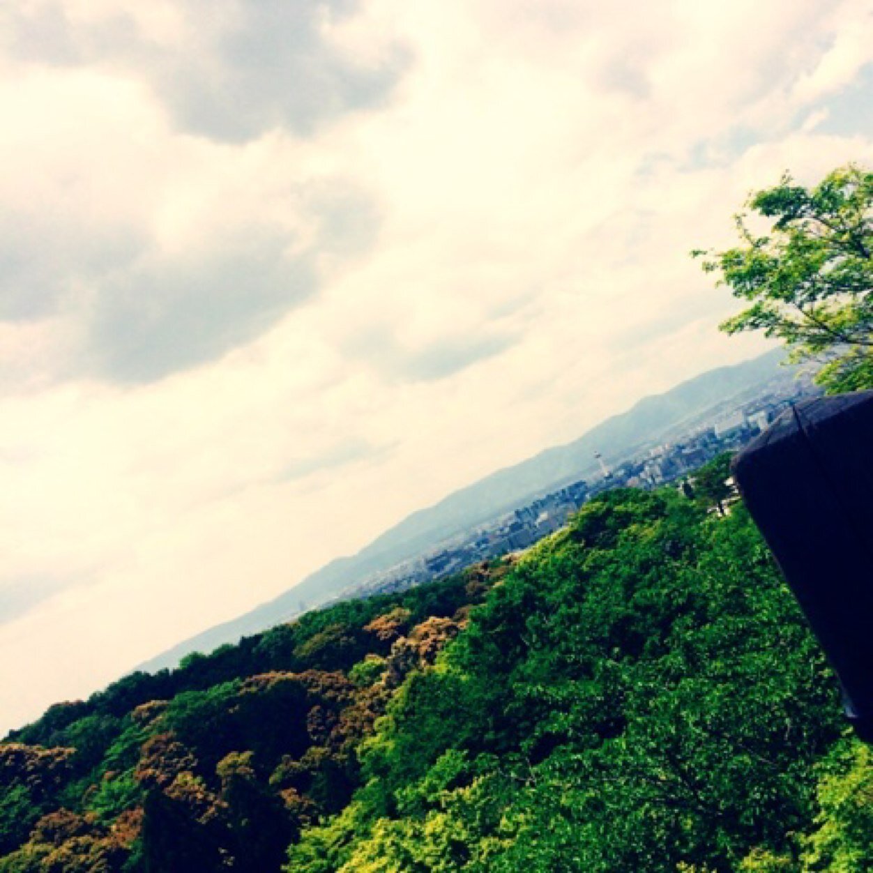 取引垢 Inu Kiss313 Twitter 取引垢 Inu Kiss313 Twitter