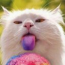 Sharon Land - @27d140026b9b46c - Twitter