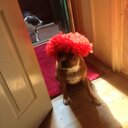 Andrew Donlan - @andy_donlan - Twitter