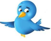 free domain names, url forwarding, free url, url redirect,free url, short url, free subdomain
