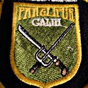 Pencak Silat Panglipur. Self-defense Paris and Mixed Martial Arts.