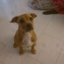 CEBRIANN* - @IgnacioCebrian1 - Twitter