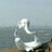 vinitachouhan2's profile image