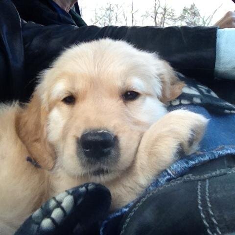 tracykuck's profile picture. 