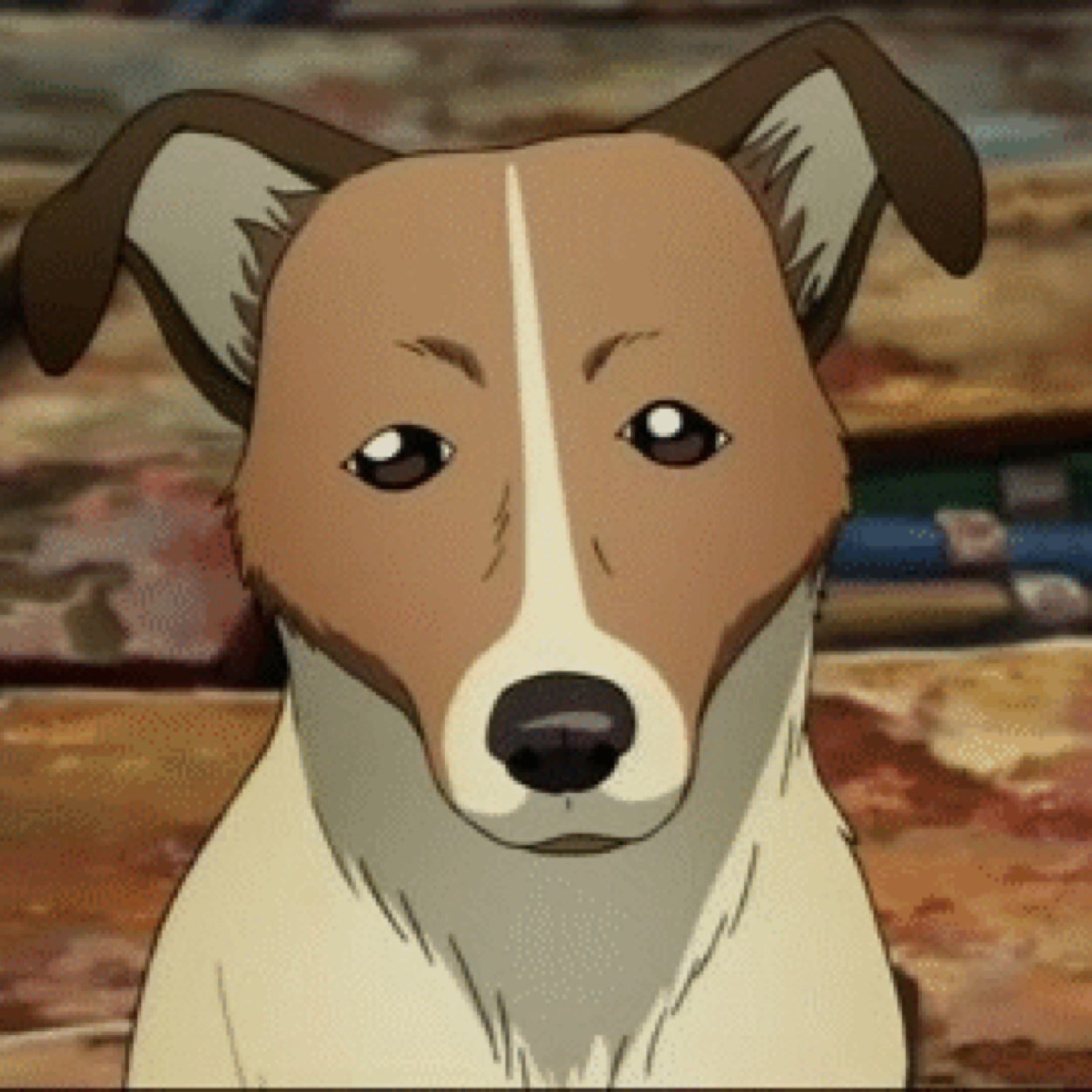 HakuUrahara's profile picture. Daily life of a cute great dane puppy named Haku that lives with her owner Kisuke Urahara loves everyone