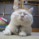 Joyce Li - @joyce_miracle - Twitter