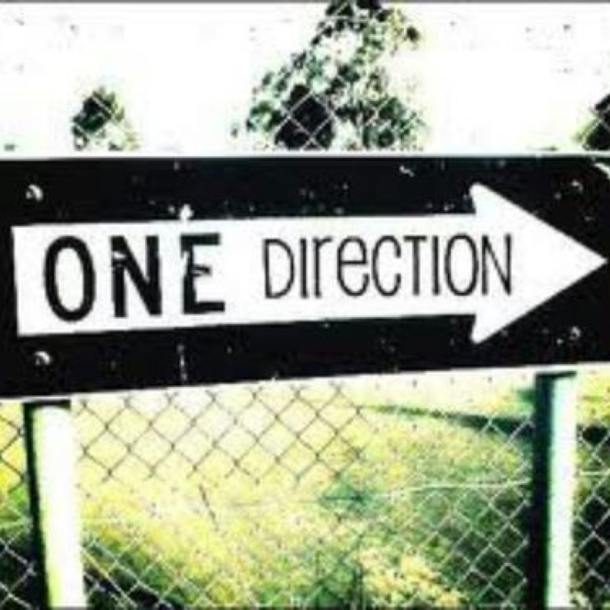 1dSian's profile picture. Funny One Direction and Little Mix edits!;)  IG: 1d_ruined_my_life_4_eva