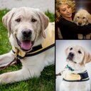 Anne Mercer - @AnneHMercer - Twitter