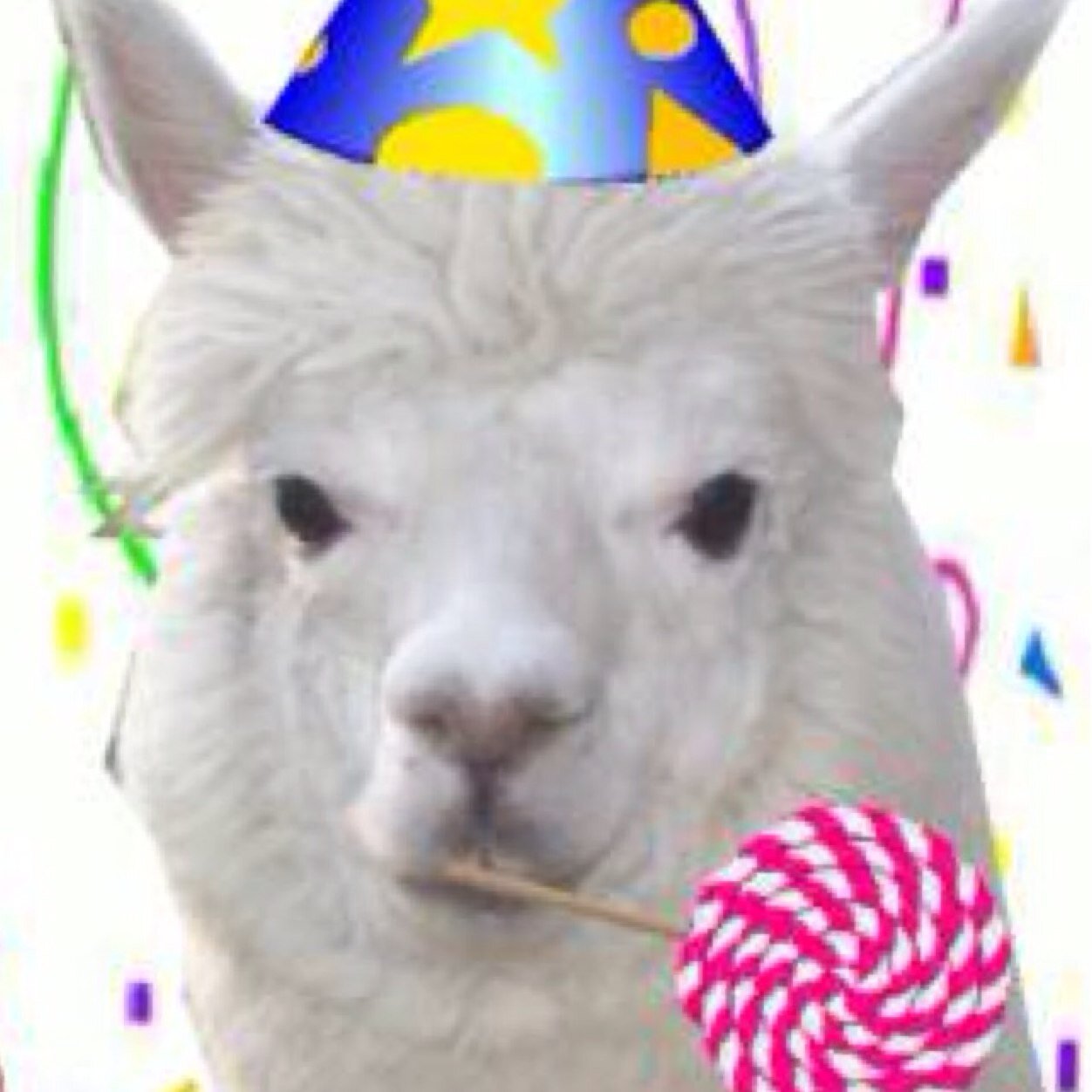 SparkOfEverlark's profile picture. Trinket, Everdeen, Abernathy, Mellark... (T) (E) (A) (M)