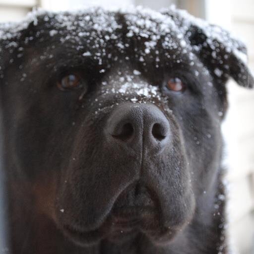 B_MAC68's profile picture. 