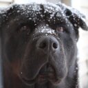 Bryan McNulty - @B_MAC68 - Twitter