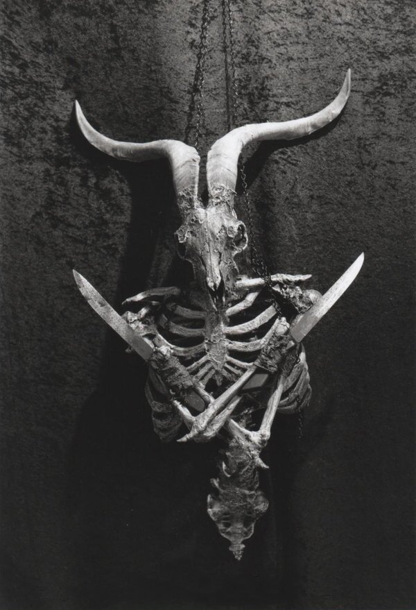 dev_reb's profile picture. 