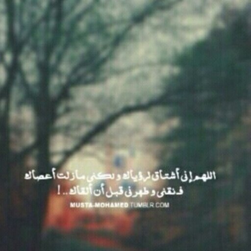 رمضَان وحديث قلب شغوفٍ فيك لاينتهَي