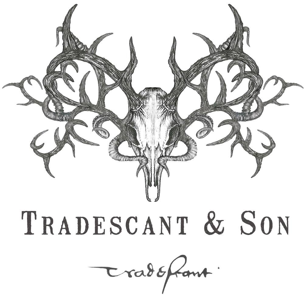 Tradescant & Son is a luxury textiles collection featuring dramatic, hand drawn designs inspired by cabinets of curiosities and the natural world.