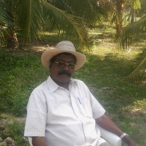 ReddyMlk's profile picture. 