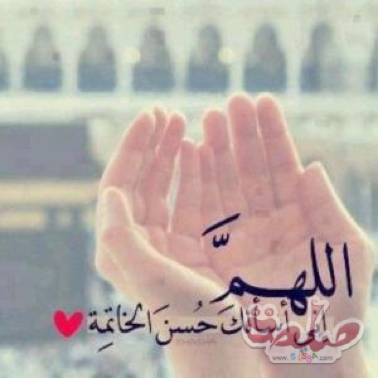 اللهم ان هذا الحساب صدقة جارية لي ولكل من يدعمه فلا تتردد في نشره ولك الاجر باذن الله فالدال على الخير كفاعله