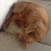 もりたん (@tentantenta) Twitter profile photo