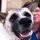 Heather Major - @silver_moon71 - Twitter