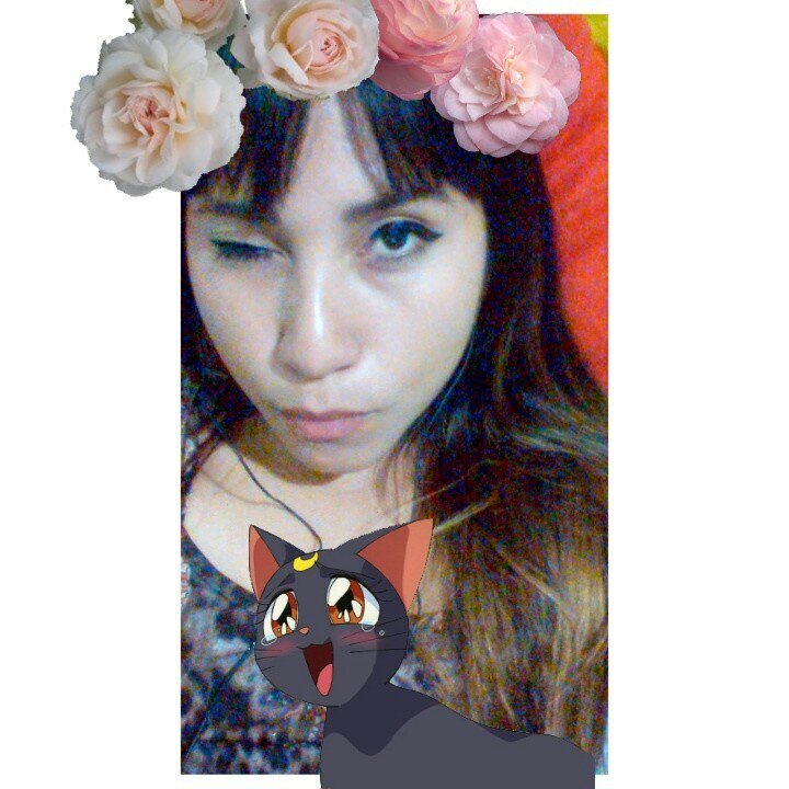 SherAlfa's profile picture. Lobo, artista, buscadora de experiencias, estudiante de Administración, amante de la lluvia, de la fotografía, y de los viajes largos.