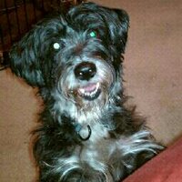 Michelle Parker (@mlparker70) 's Twitter Profile