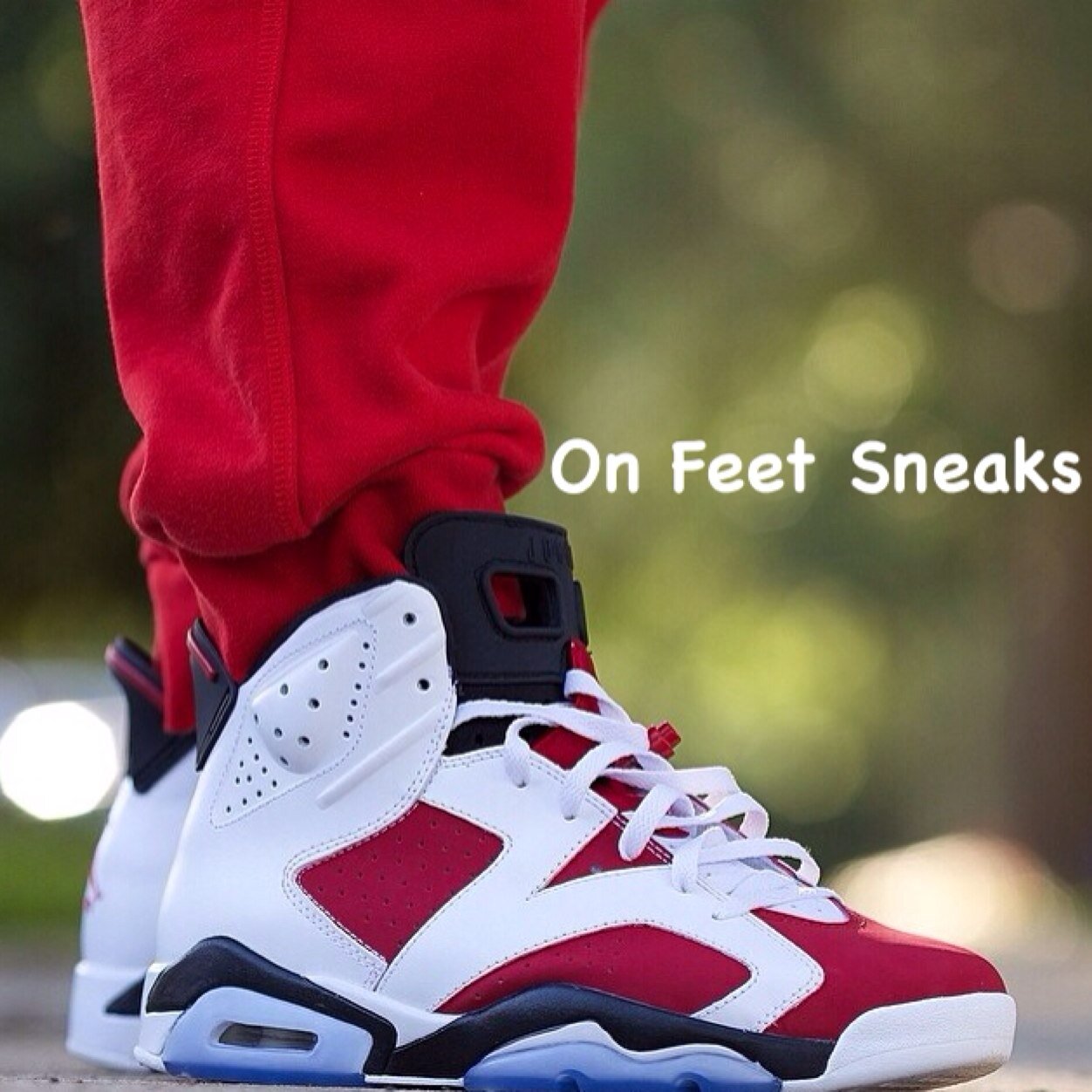 Sneakershots123 Profile Picture