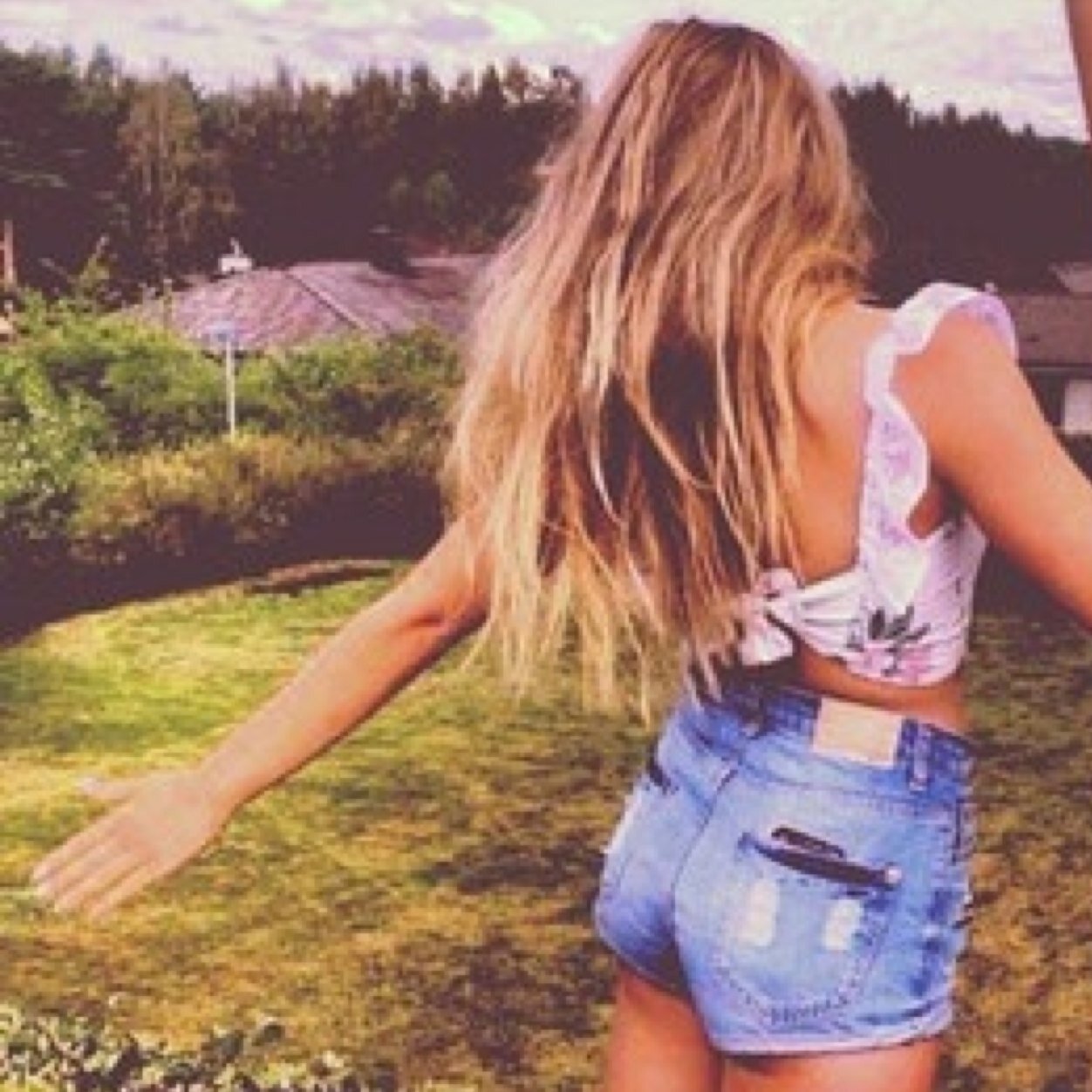 sagittarius ♐ wild flower / things that don't make sense / just go with the feeling