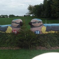 D Evans & R Taylor (@dertaylor79) Twitter profile photo