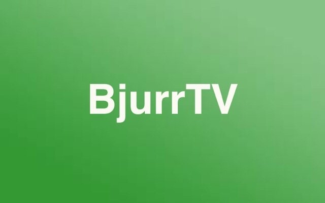 BjurrTV, het nieuwe Youtubekanaal van Nederland.

doei