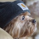 Anna Krause - @akrause321 - Twitter