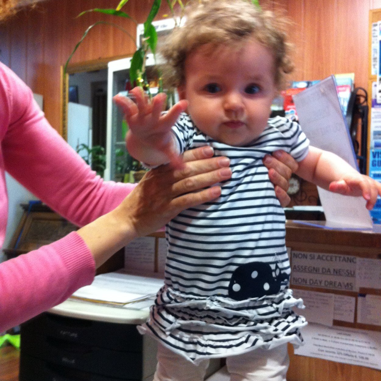 RiccardoBarco1's profile picture. Ricomincio da qui....