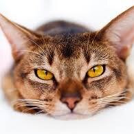 FuckTheBooty's profile picture. Selling Selling Selling Selling Selling Selling Selling Selling Selling Selling Selling Selling Selling Selling Selling Selling Selling Selling Selling Selling