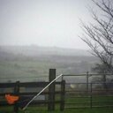 michael nyhan - @mjnyhan8 - Twitter