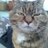 daveybuntu's profile image