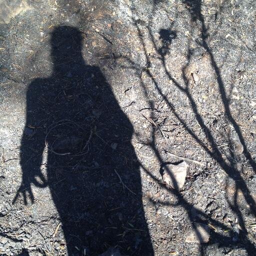 soniabonnin's profile picture. journaliste échelon local / écrit dans @varmatin @nicematin et parle aussi parfois / «pour qu’une chose soit intéressante, il suffit de la regarder longtemps»