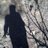 soniabonnin's profile image