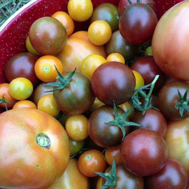 EllenSAHMomOf3's profile picture. 