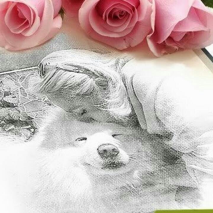 6b4bc542390a48b's profile picture. Amo a los animales como a mi misma y espero entender algun dia a mis congeneres!!!