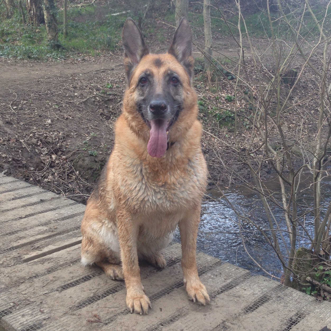 kirk_neil's profile picture. 