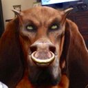 Kim Baer - @kimbaer4967 - Twitter