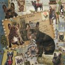 Susan Caton - @ArtFilledEye - Twitter