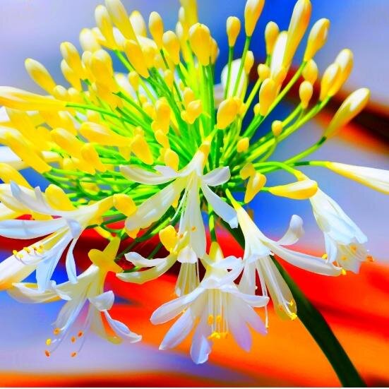 SherynLinn's profile picture. Believer, Wife, Mother, Grandmother, Photographer, Actor,  -- Oh, and I strum a few chords on the guitar.