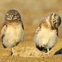 Curious Me (@curiousmeami) 's Twitter Profile