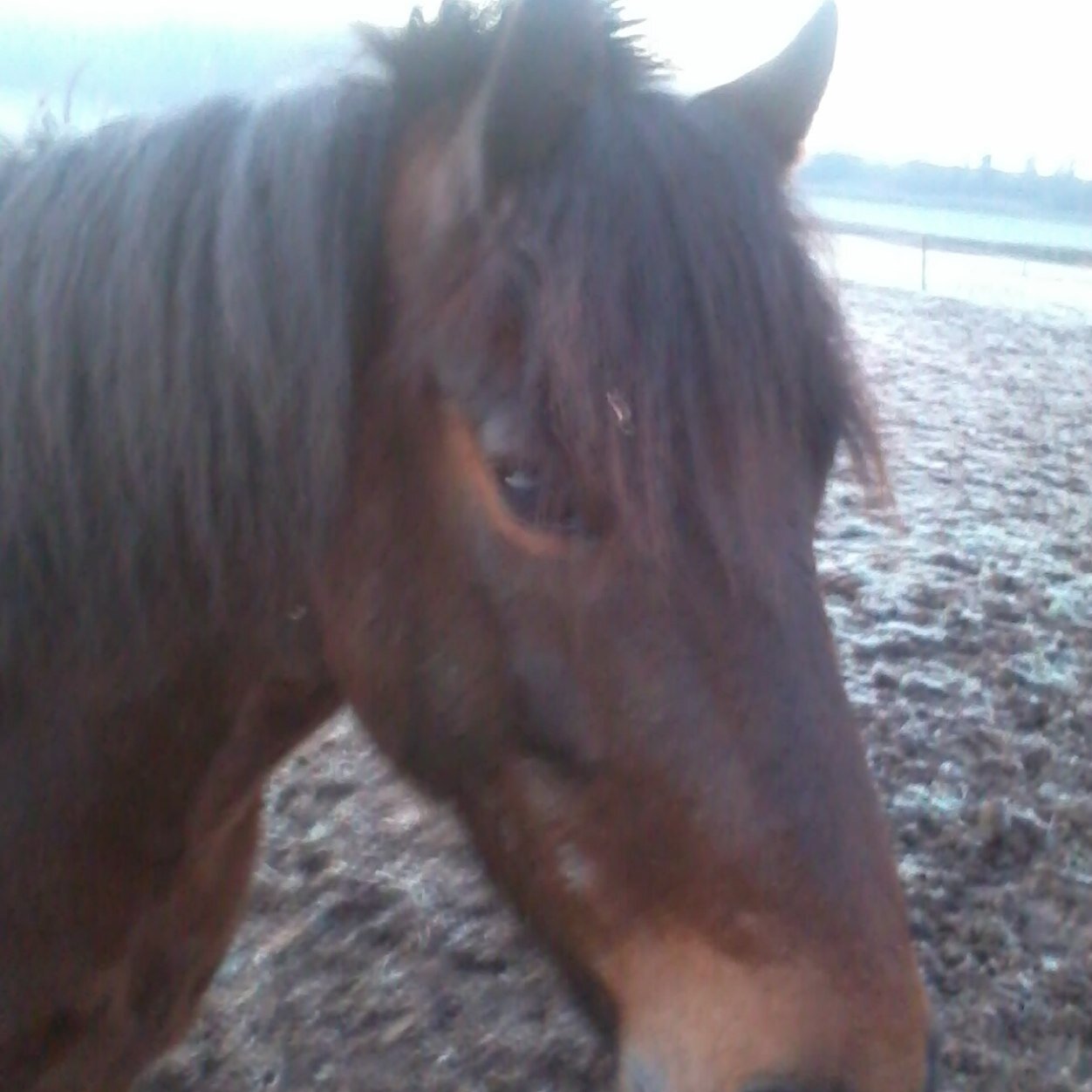 CathCarter10's profile picture. 