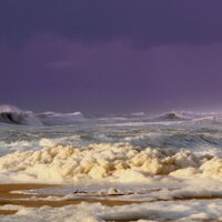 patrice duha (@patriceduha) 's Twitter Profile Photo