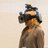 FCAD_Seneca's profile image