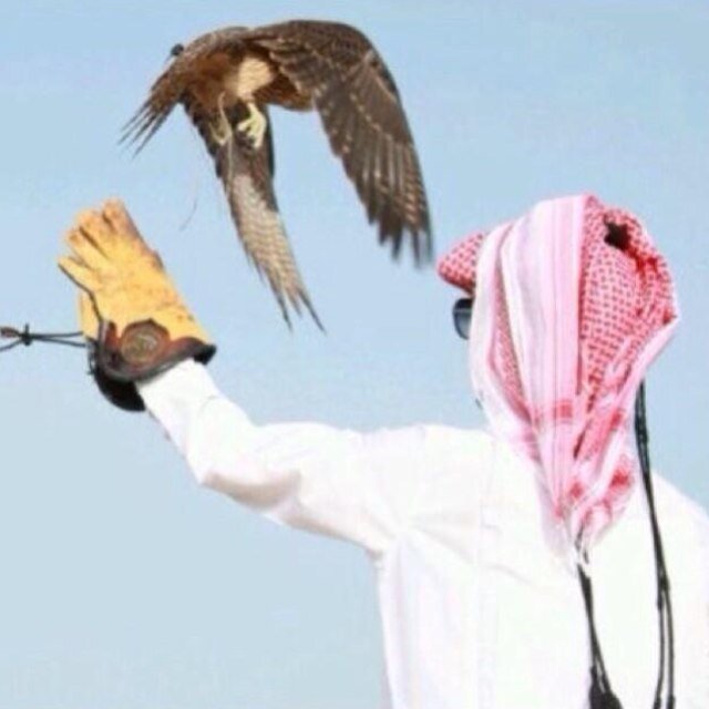 خواطر،ومتذوق للشعر، _سوف يأتي يوم أرحل فيه عن الدنيا ،وستأتون لقراءة تغريداتي ،فمن كان منها حسناً فانشروه ومن كان منها سيئاً فاتركوه ♡ شمالي ksa